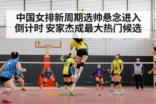 中国女排新周期选帅悬念进入倒计时 安家杰成最大热门候选